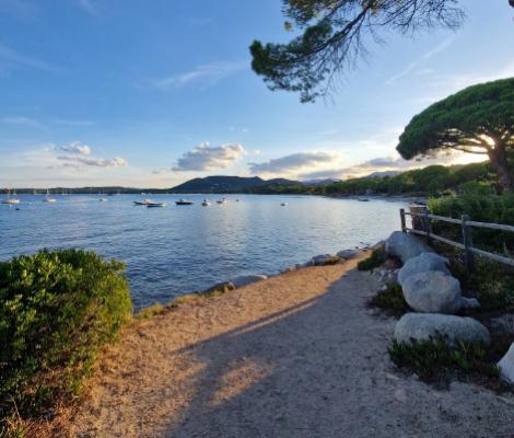 Sentiero costiero con vista su mare calmo e barche, circondato da alberi e cespugli.