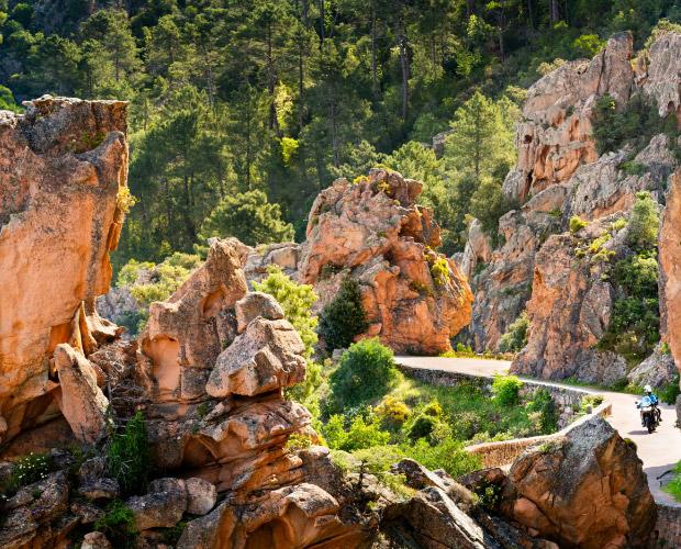 Strada tortuosa tra rocce e foresta, paesaggio naturale e rigoglioso.